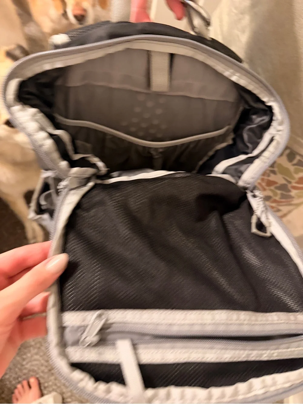The North Face Men’s Litus 22L Black and Gray Backpack